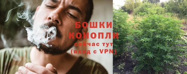 твердый Балахна
